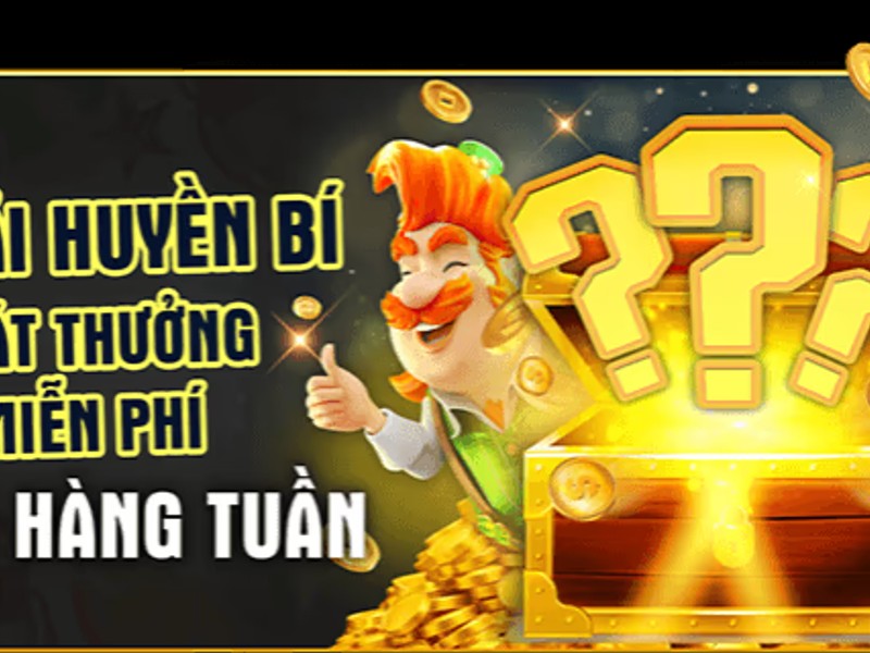 Hoàn trả hàng ngày và hoàn tiền hàng tuần by88